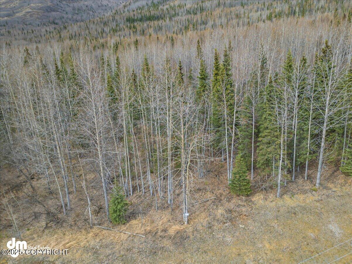 L1 Twin Peaks Drive, Chugiak, Alaska image 12