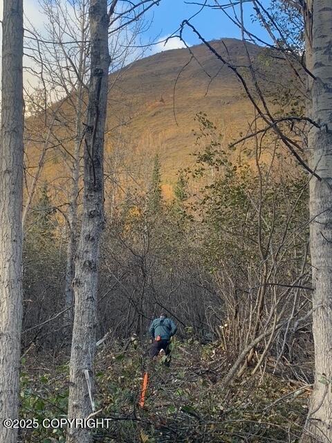 L1 Twin Peaks Drive, Chugiak, Alaska image 10
