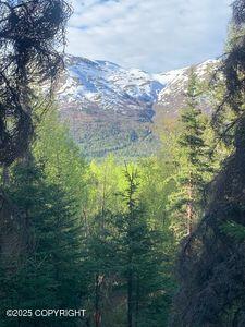 L1 Twin Peaks Drive, Chugiak, Alaska image 8