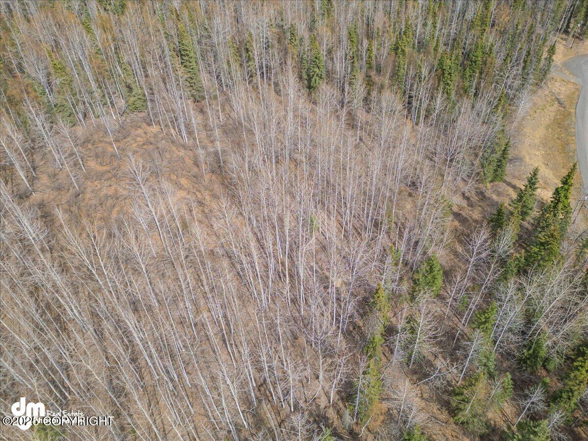 L1 Twin Peaks Drive, Chugiak, Alaska image 17