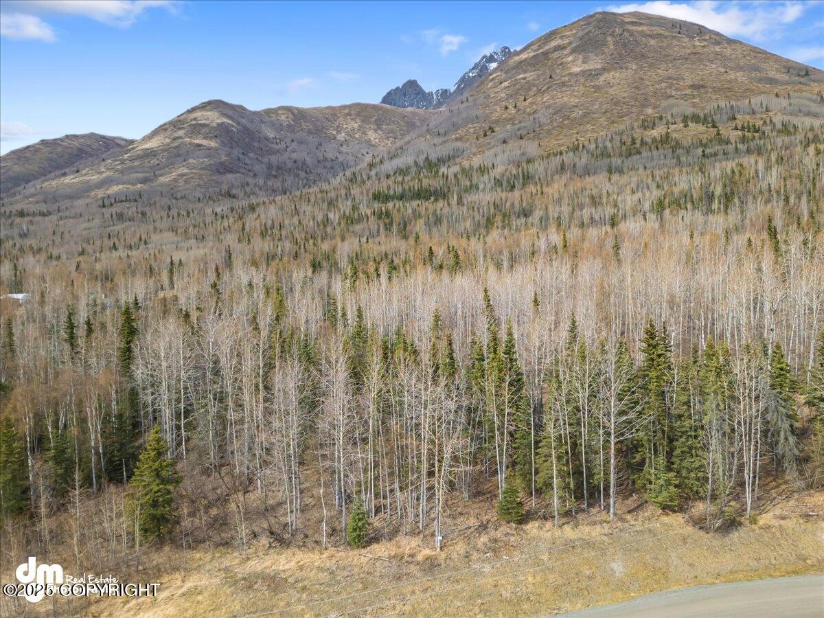 L1 Twin Peaks Drive, Chugiak, Alaska image 14