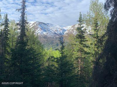 L1 Twin Peaks Drive, Chugiak, Alaska image 3