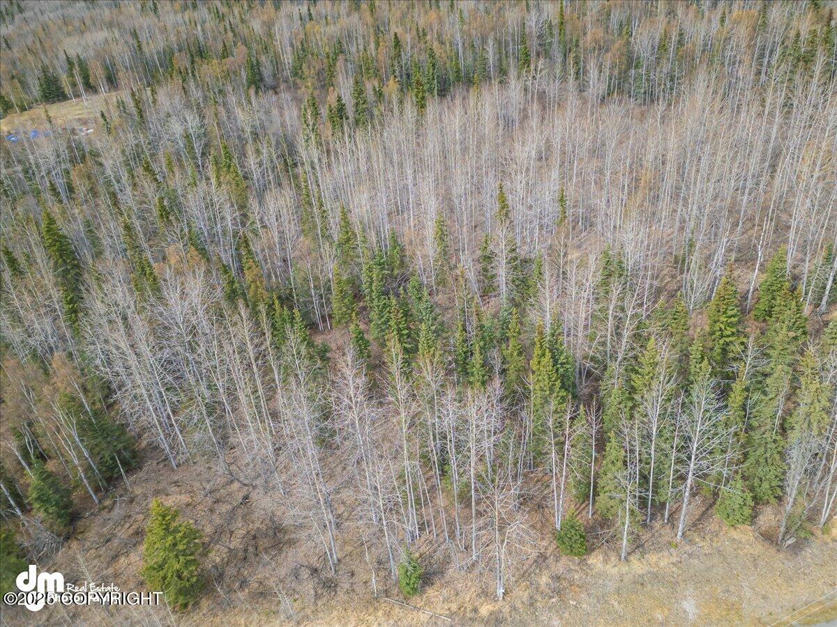 L1 Twin Peaks Drive, Chugiak, Alaska image 11