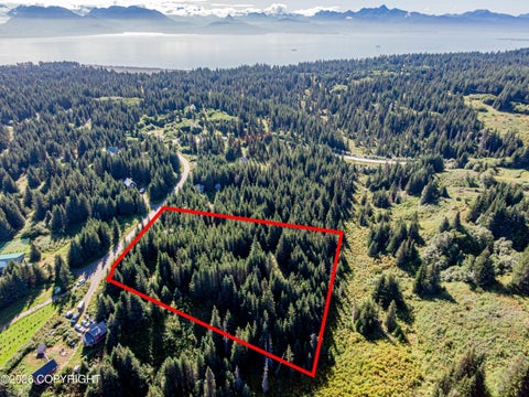 Vacant Land For Sale - 57875 Blueberry Glen Court<br/> Homer, AK 99603