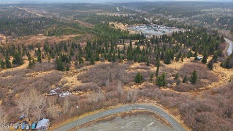 Photo of 65251 Wagon Road, Anchor Point, AK 99556 (MLS # 26-5903)