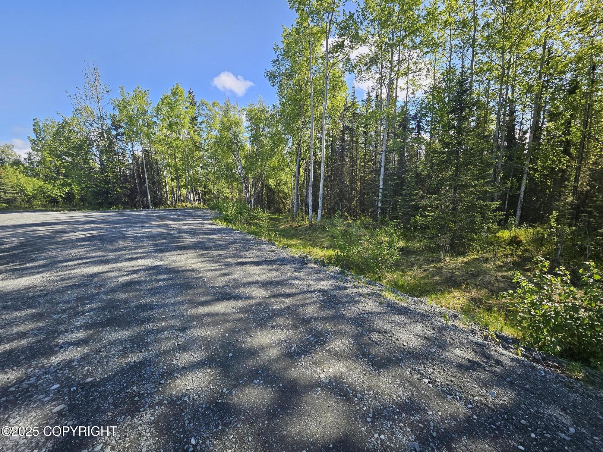 Lot 14 Alex Court, Soldotna, Alaska image 2