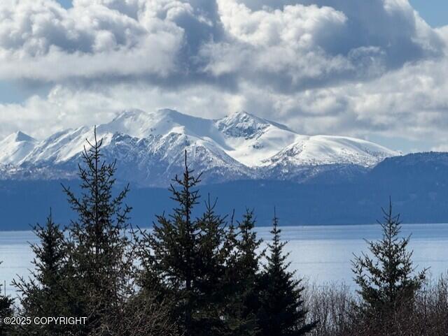 885 Soundview Avenue, Homer, Alaska image 3