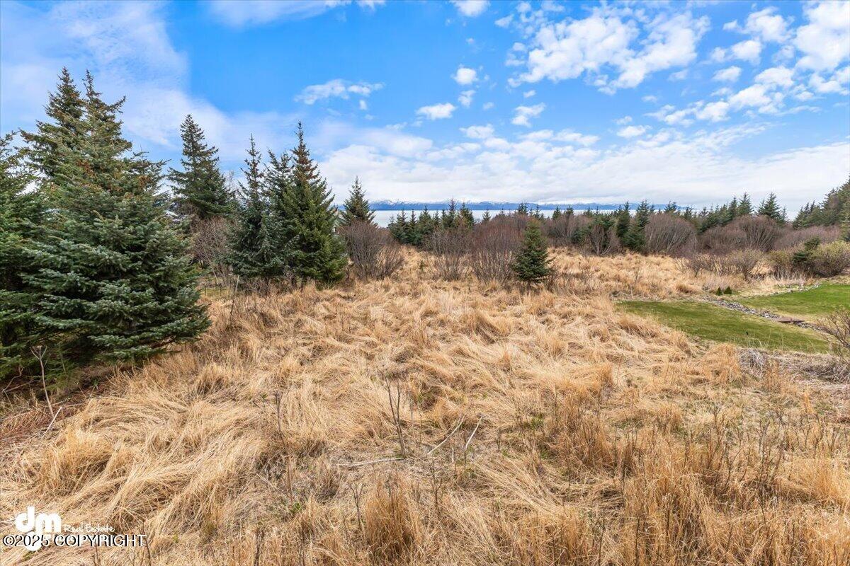 Homer, Alaska 99603, United States, 3 Bedrooms Bedrooms, ,3 BathroomsBathrooms,Residential,Active,117354