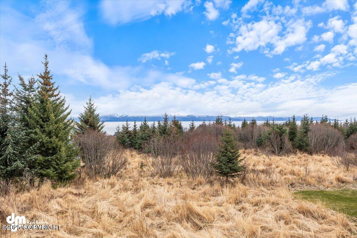 Homer, Alaska 99603, United States, 3 Bedrooms Bedrooms, ,3 BathroomsBathrooms,Residential,Active,117354