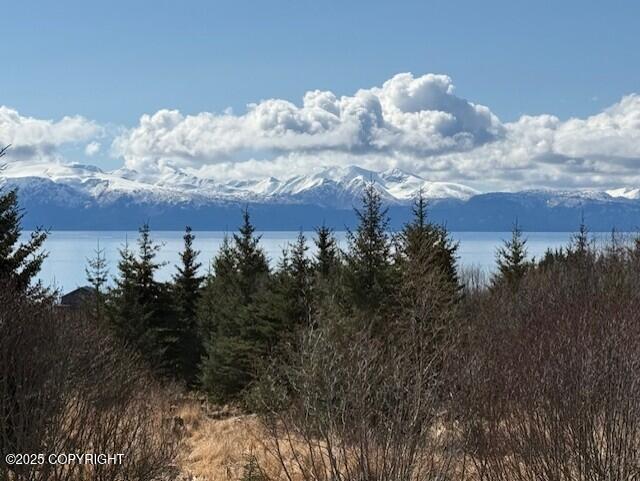 Homer, Alaska 99603, United States, 3 Bedrooms Bedrooms, ,3 BathroomsBathrooms,Residential,Active,117354