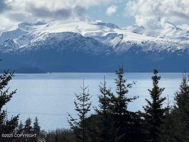 885 Soundview Avenue, Homer, Alaska image 2
