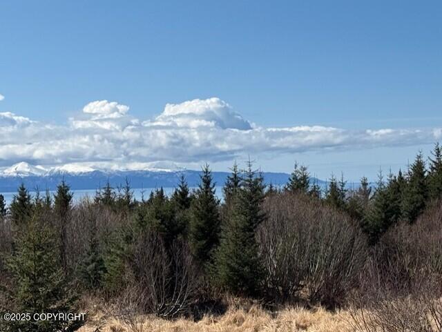 Homer, Alaska 99603, United States, 3 Bedrooms Bedrooms, ,3 BathroomsBathrooms,Residential,Active,117354