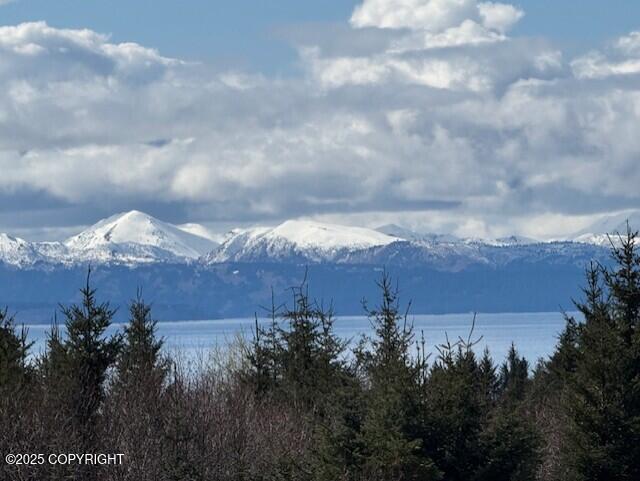 Homer, Alaska 99603, United States, 3 Bedrooms Bedrooms, ,3 BathroomsBathrooms,Residential,Active,117354