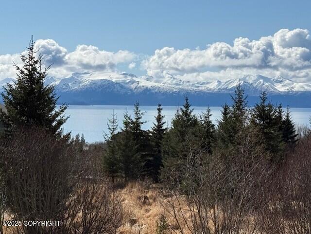 Homer, Alaska 99603, United States, 3 Bedrooms Bedrooms, ,3 BathroomsBathrooms,Residential,Active,117354