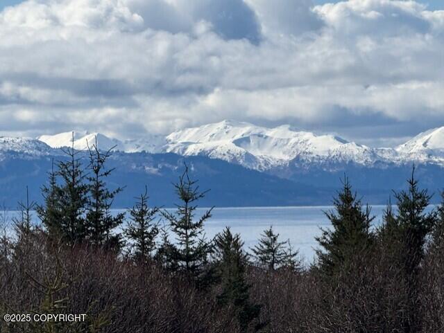 885 Soundview Avenue, Homer, Alaska image 4