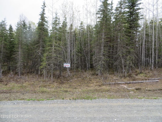 TOLUM RD, CLAM GULCH, AK 99568 - Image eefbd8ff2d9bb927318aaa7bb0c426da/1917229776