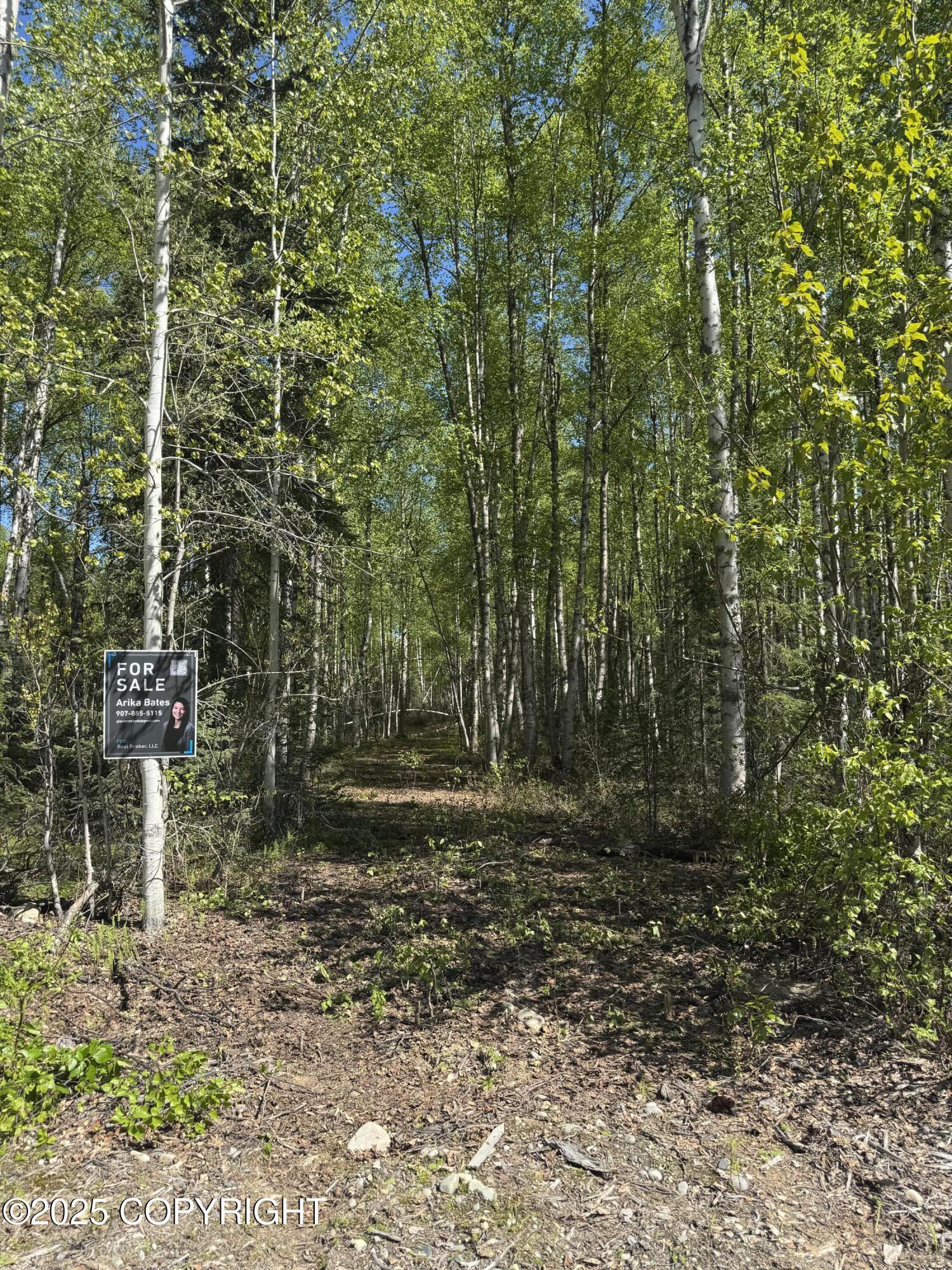 20001 E Goshawk Way, Willow, Alaska image 2