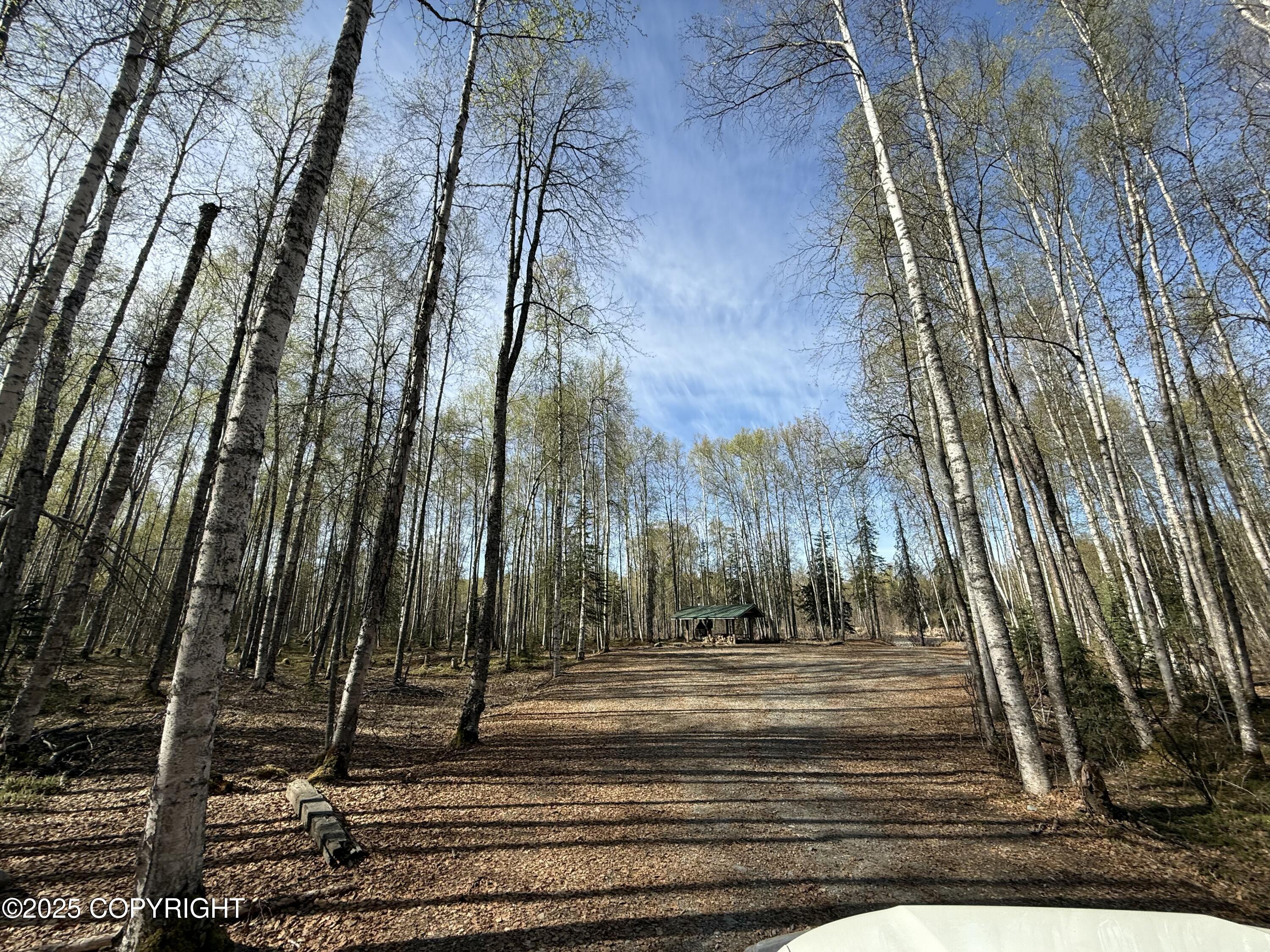 20001 E Goshawk Way, Willow, Alaska image 5