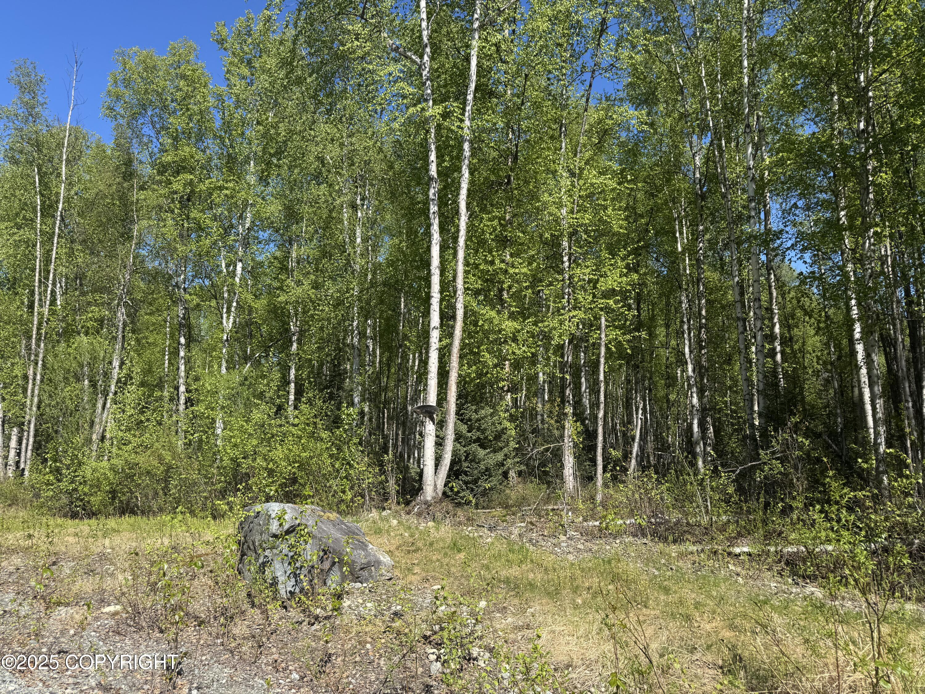 20001 E Goshawk Way, Willow, Alaska image 3