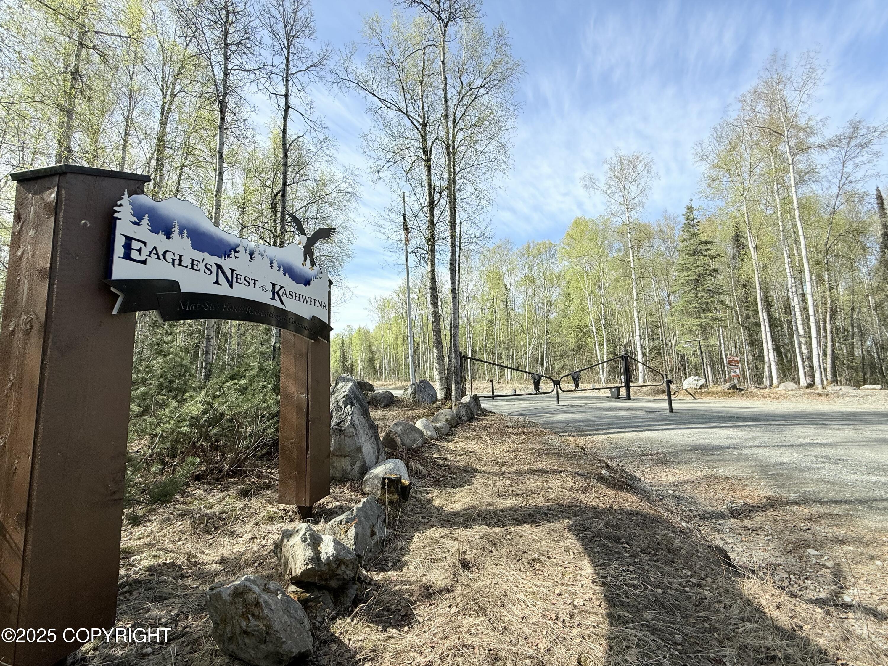 20001 E Goshawk Way, Willow, Alaska image 1