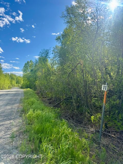 Photo of 36248 S Oilwell Road, Trapper Creek, AK 99683 (MLS # 26-6557)
