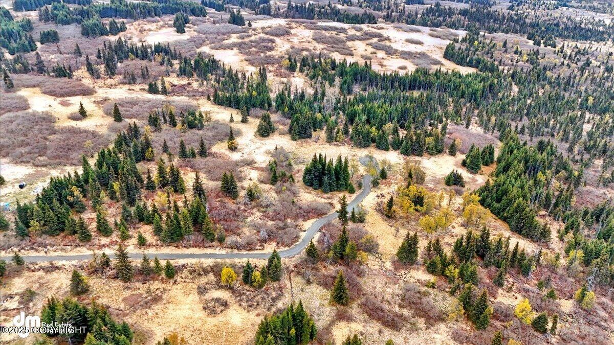 65079 & L5 Clyde Thomas Avenue, Anchor Point, Alaska image 2
