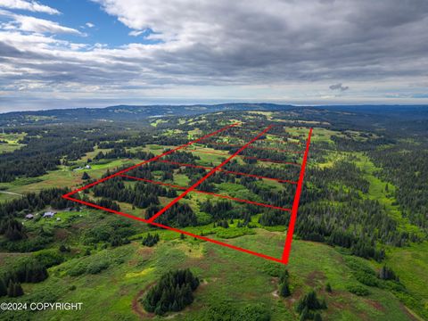 Vacant Land For Sale - L7 Nka Crossman Ridge Avenue<br/> Homer, AK 99603