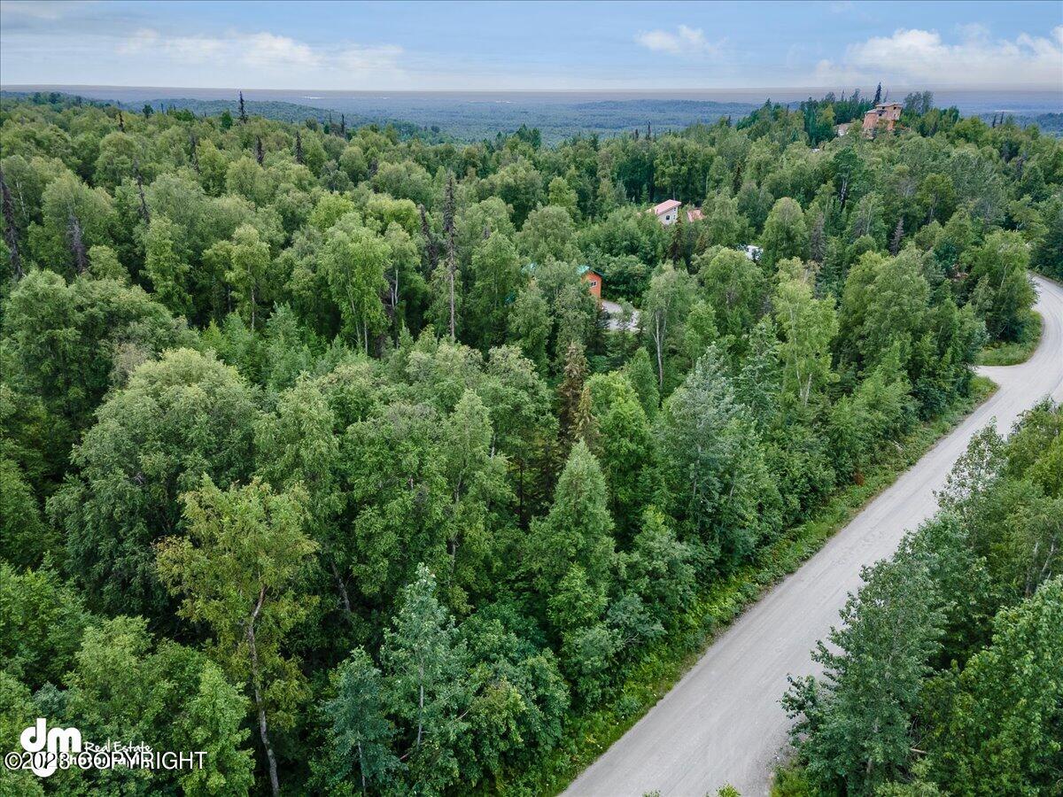 22001 S Freedom Drive, Talkeetna, Alaska image 9