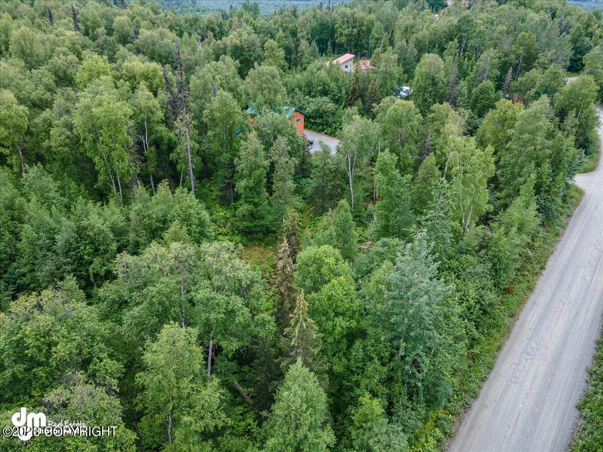 22001 S Freedom Drive, Talkeetna, Alaska image 8