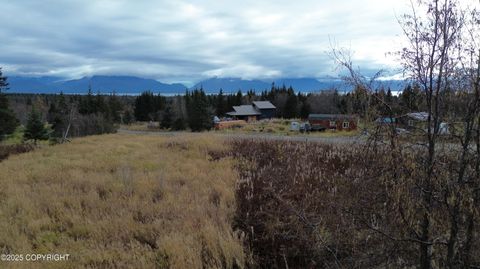 Vacant Land For Sale - 56420 Glenn Road<br/> Homer, AK 99603