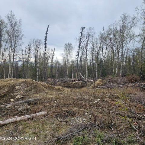 Featured picture for the property 24-6901
