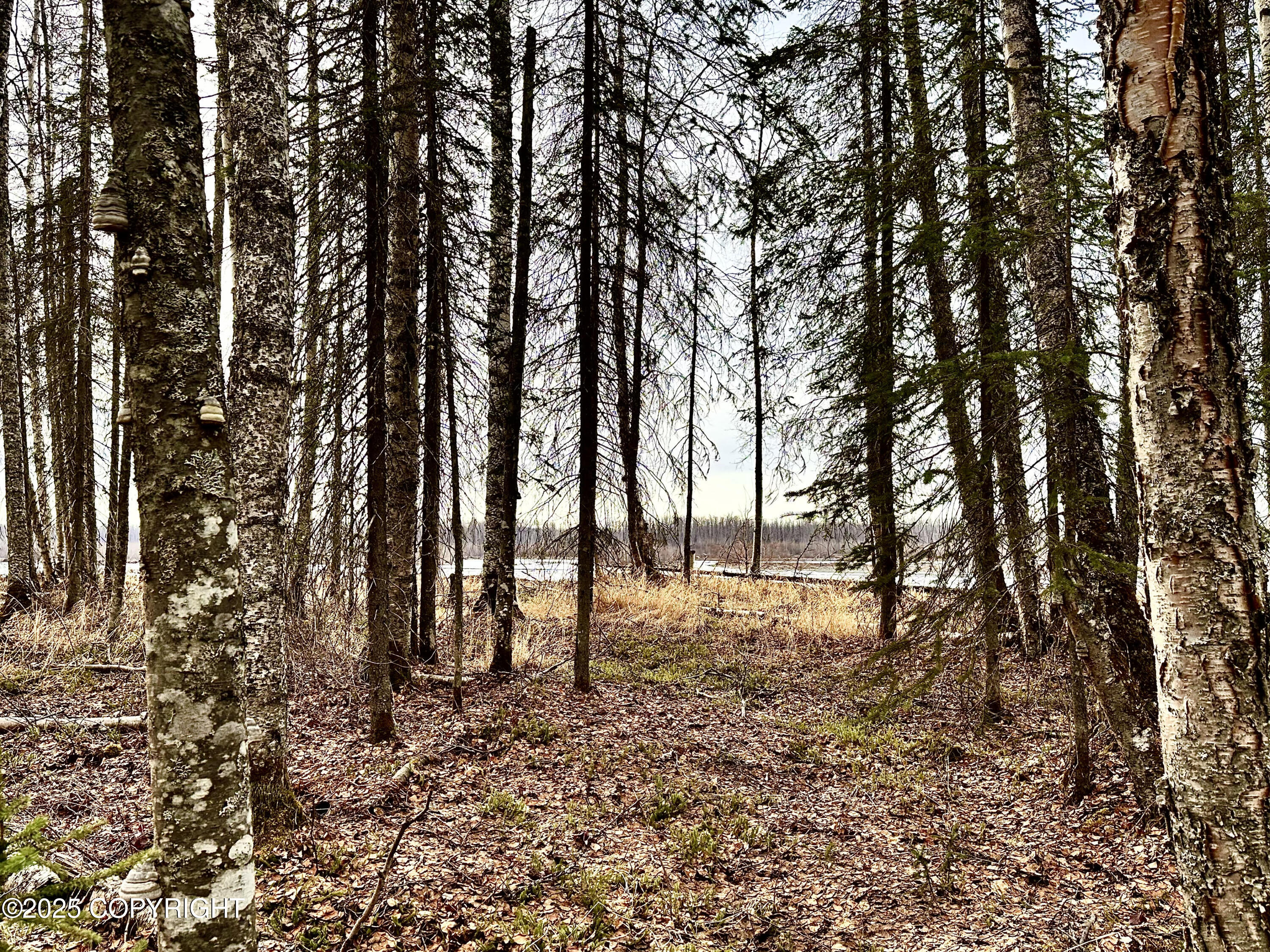 56348 S View Point Drive, Willow, Alaska image 19