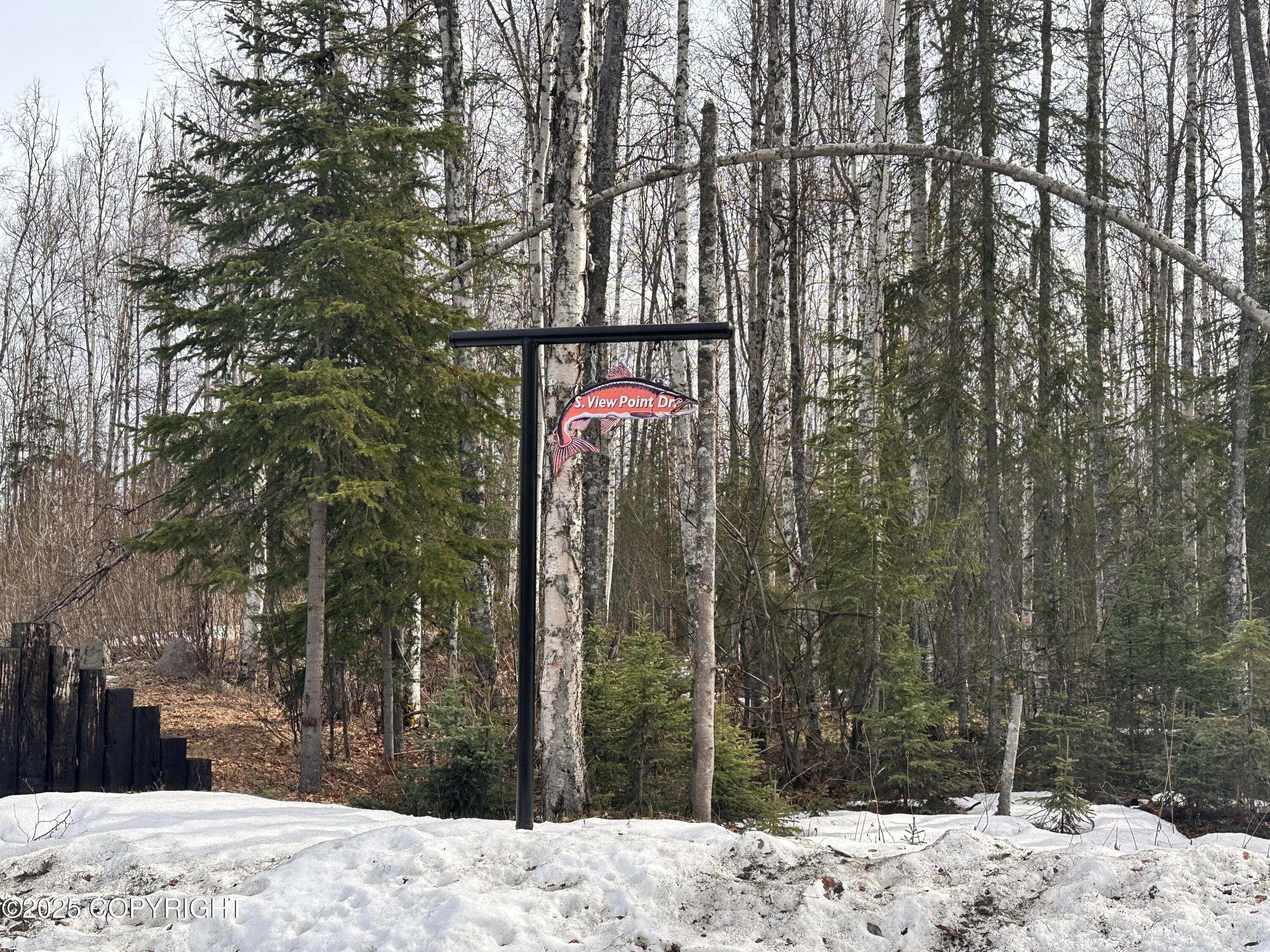 56348 S View Point Drive, Willow, Alaska image 32