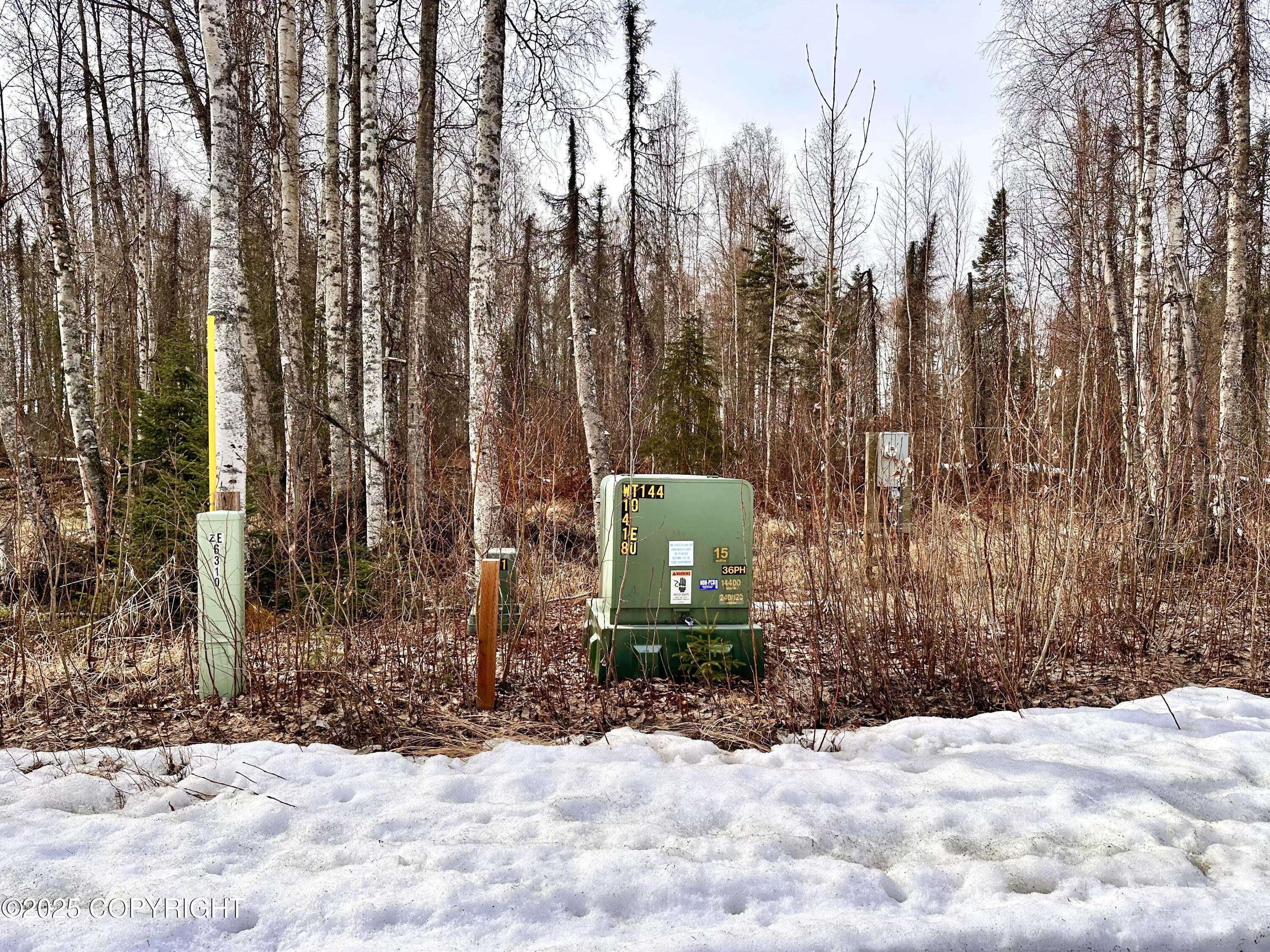 56348 S View Point Drive, Willow, Alaska image 27