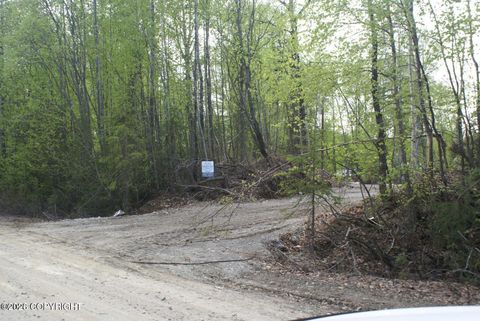 Vacant Land For Sale - 32906 S Mount Brooks Drive<br/> Talkeetna, AK 99676