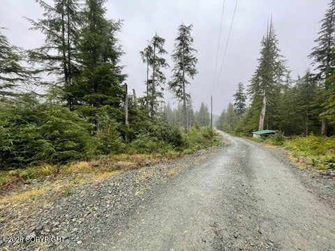 Vacant Land For Sale - L5 Steep Road<br/> Thorne Bay, AK 99919