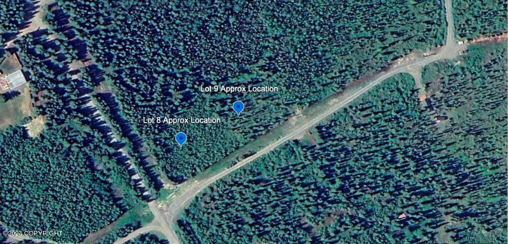 L9 B9 Tazlina Sw Sub, Copper Center, Alaska image 14