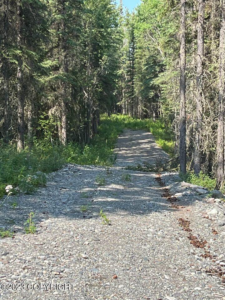 L9 B9 Tazlina Sw Sub, Copper Center, Alaska image 7