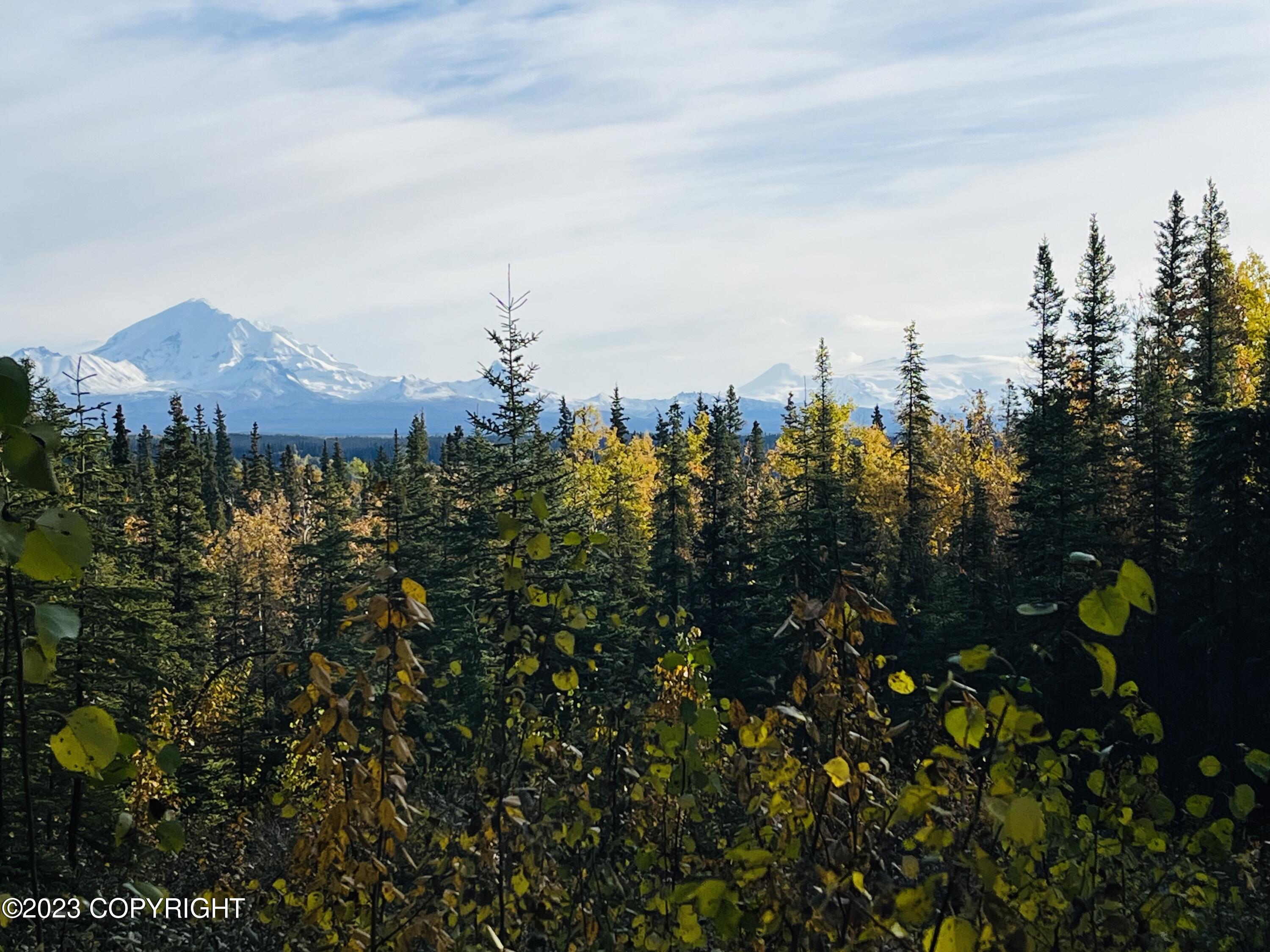L9 B9 Tazlina Sw Sub, Copper Center, Alaska image 2