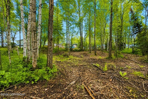 Vacant Land For Sale - L4 Zurich Street<br/> Anchorage, AK 99507