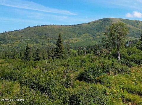 Vacant Land For Sale - L1 Panoramic Circle<br/> Anchorage, AK 99516