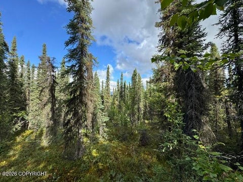 Photo of Tr 15 Funny River Road, Soldotna, AK 99669 (MLS # 26-10746)