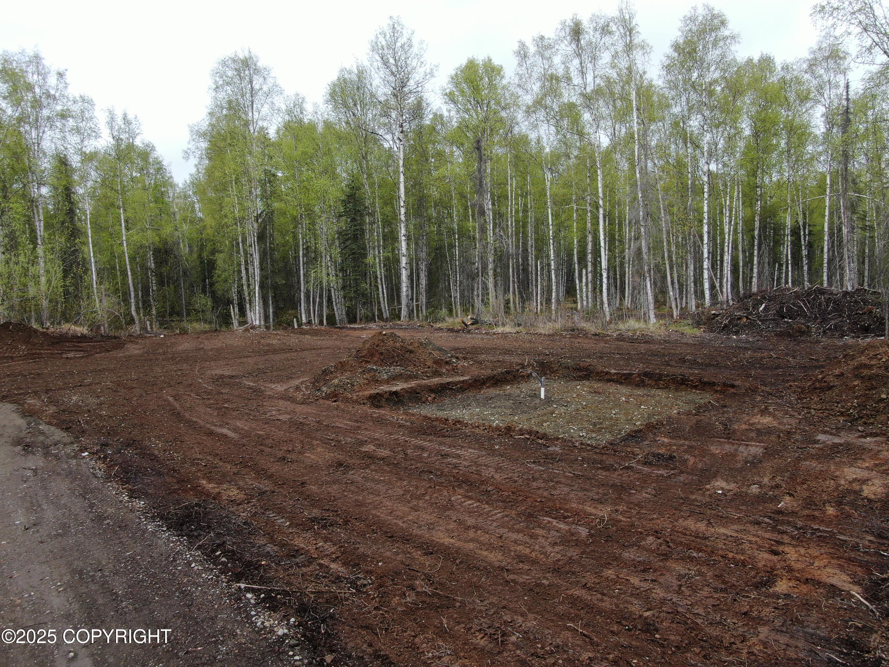 36534 S Long Branch Street, Talkeetna, Alaska image 12