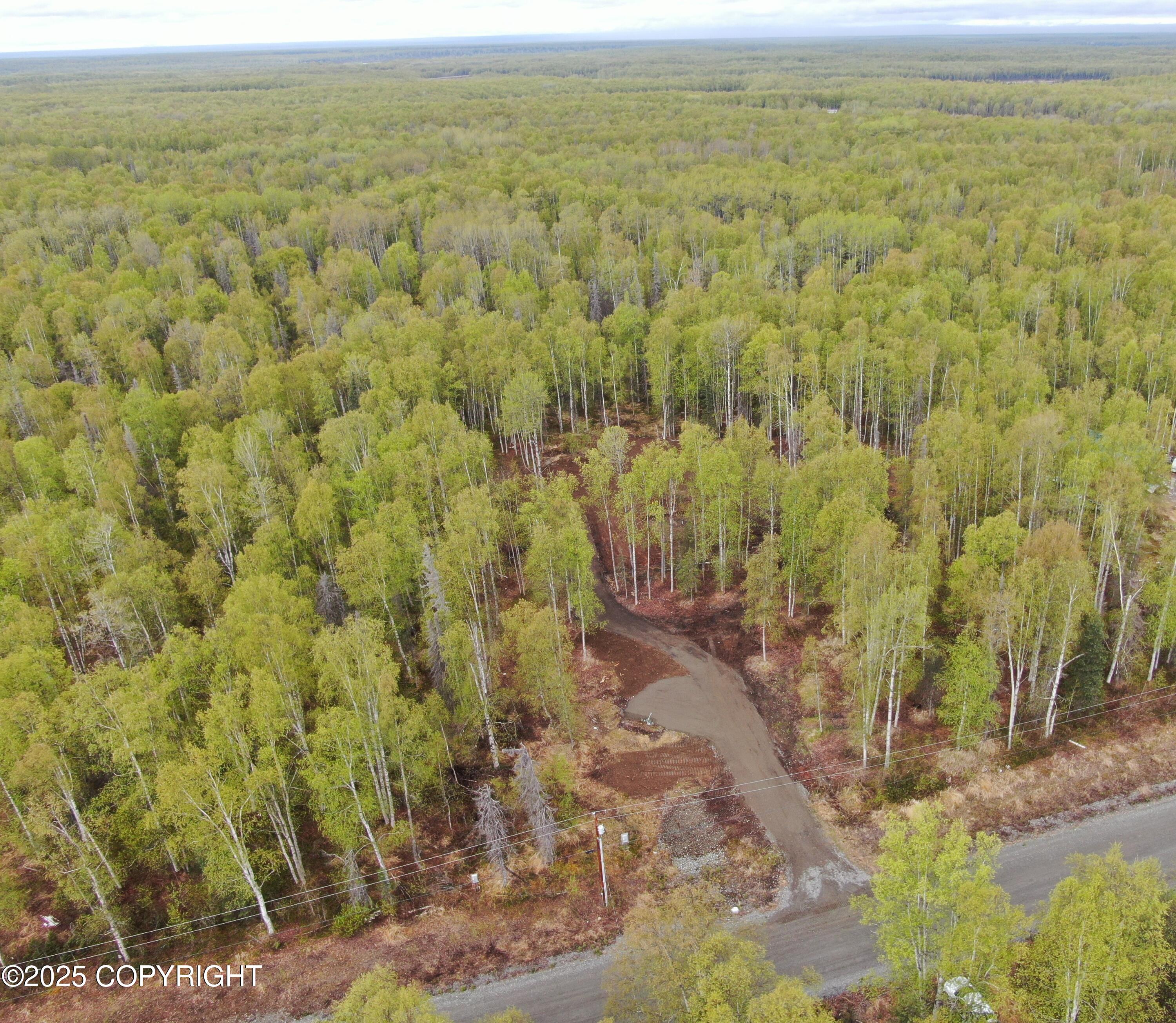 36534 S Long Branch Street, Talkeetna, Alaska image 1