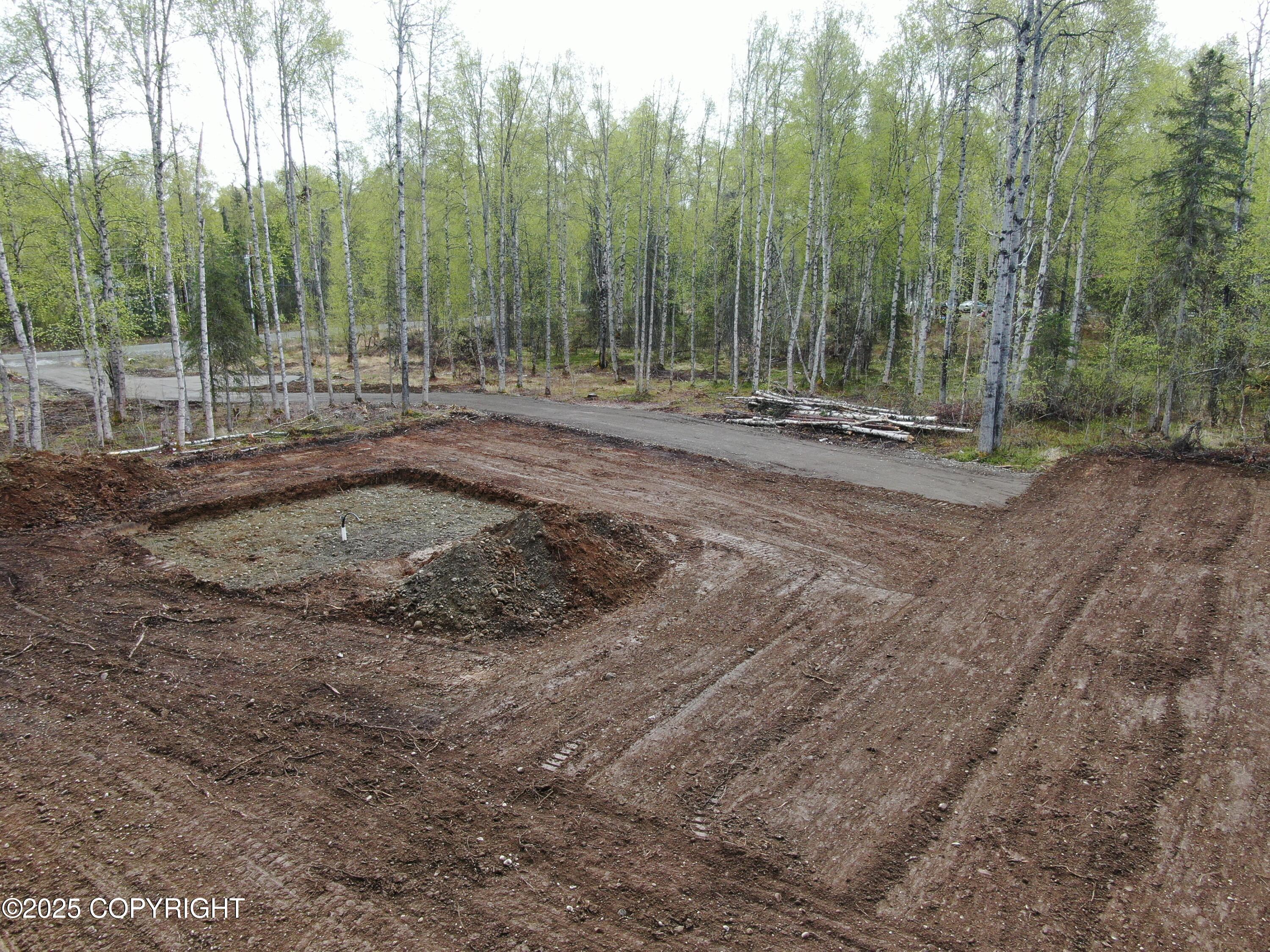 36534 S Long Branch Street, Talkeetna, Alaska image 10