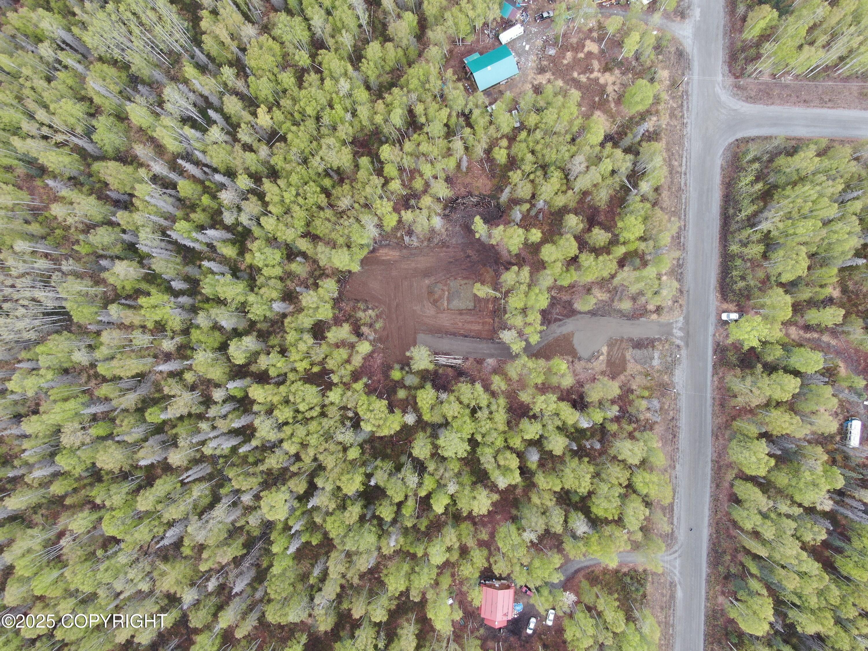 36534 S Long Branch Street, Talkeetna, Alaska image 3