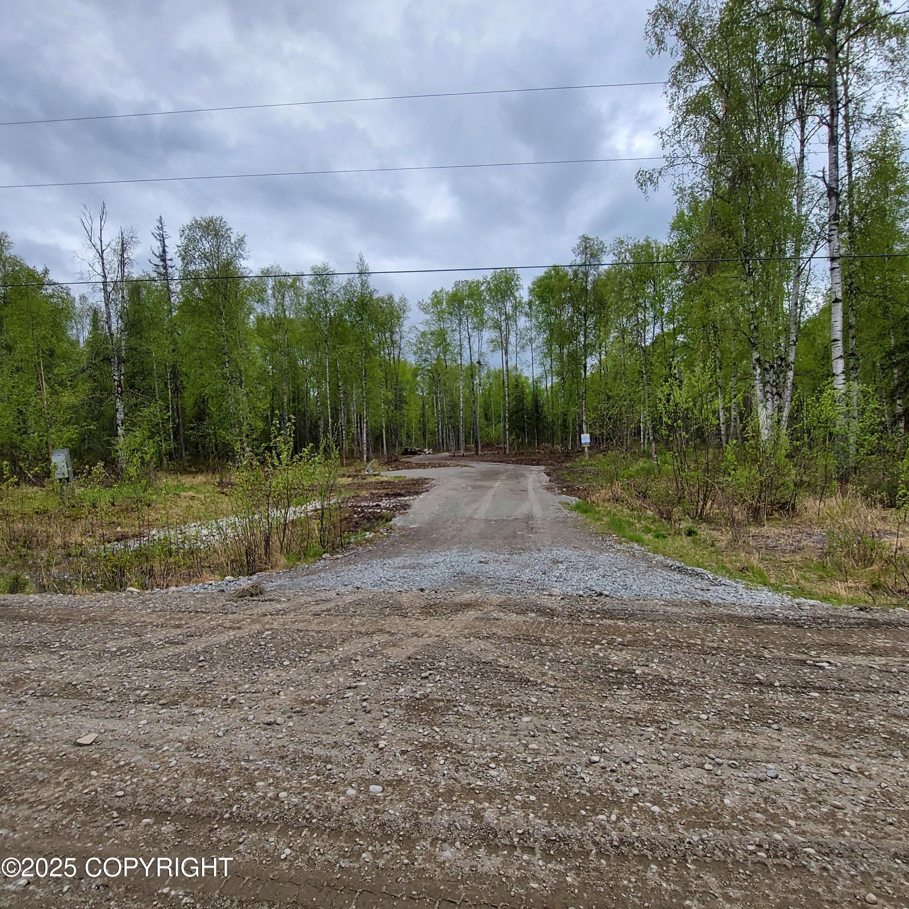 36534 S Long Branch Street, Talkeetna, Alaska image 5
