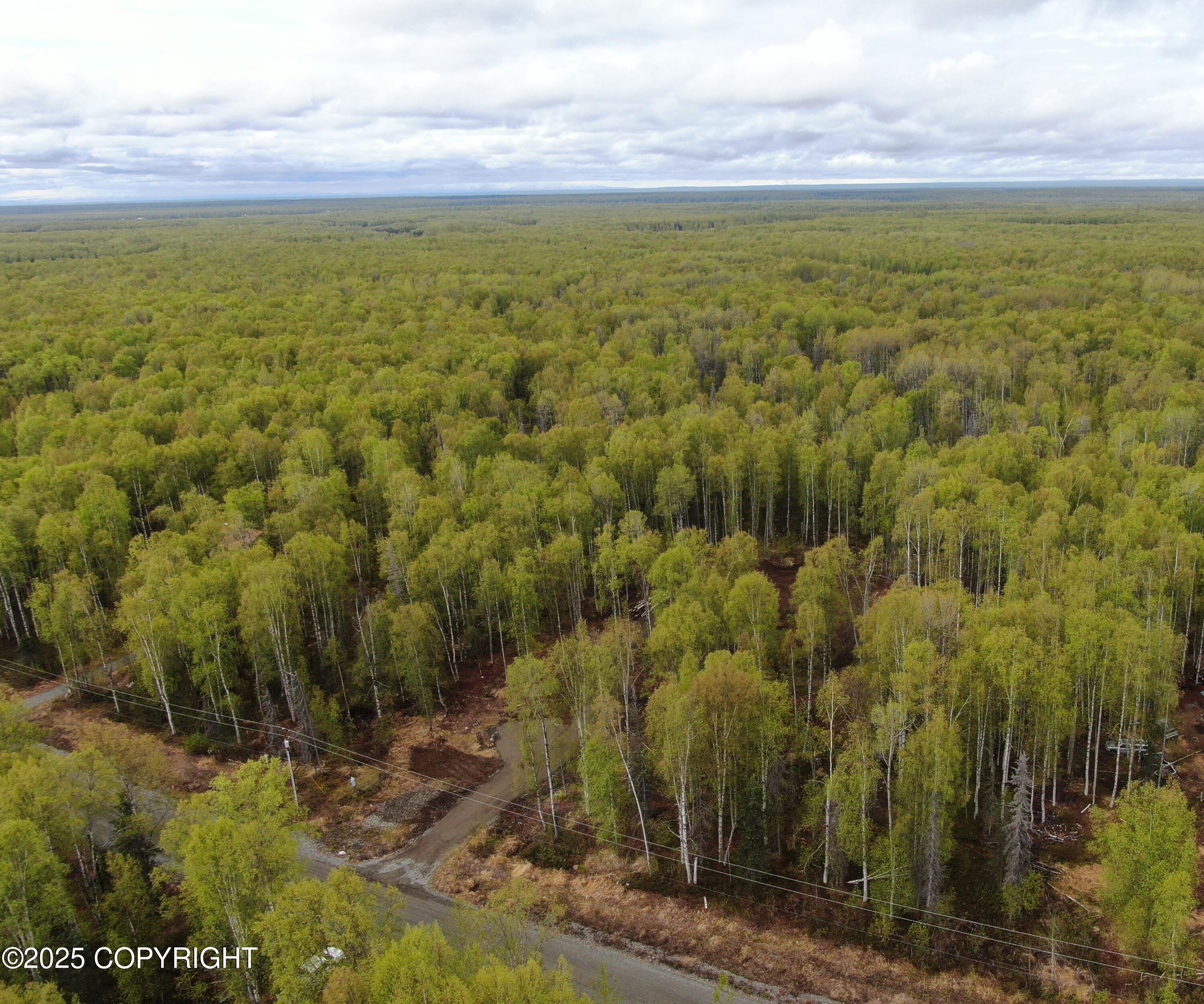 36534 S Long Branch Street, Talkeetna, Alaska image 17