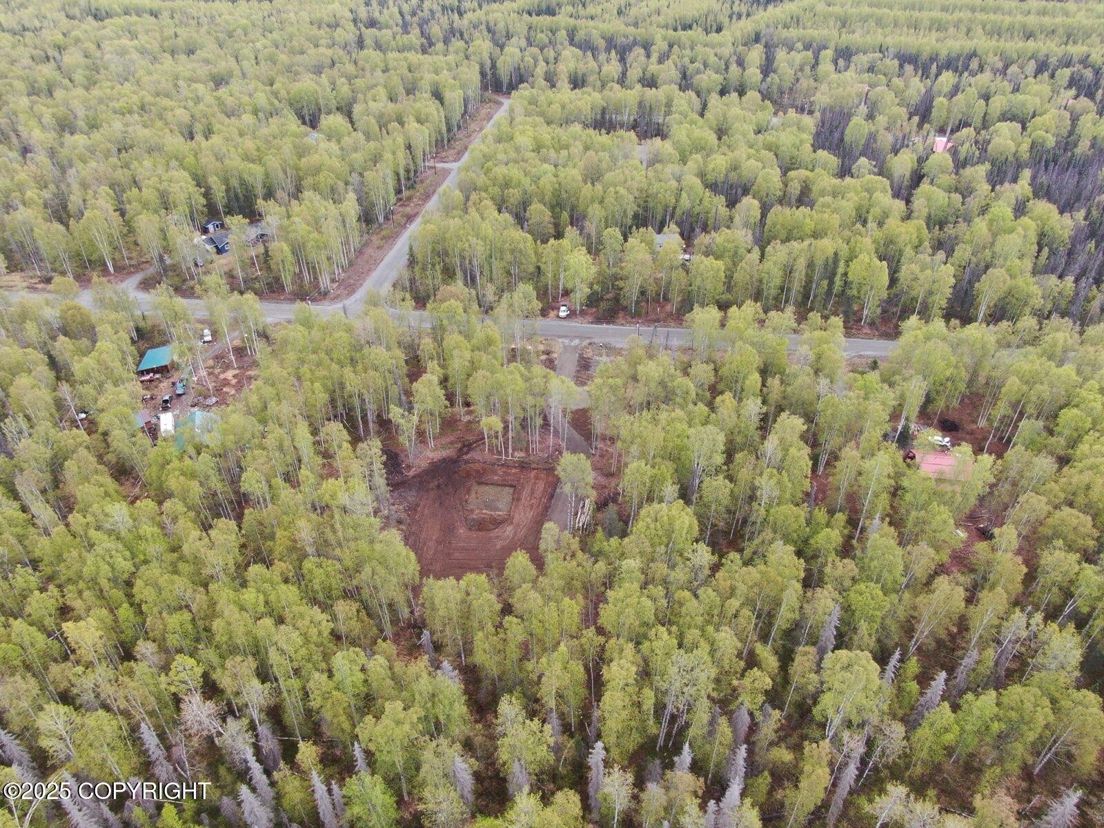 36534 S Long Branch Street, Talkeetna, Alaska image 2
