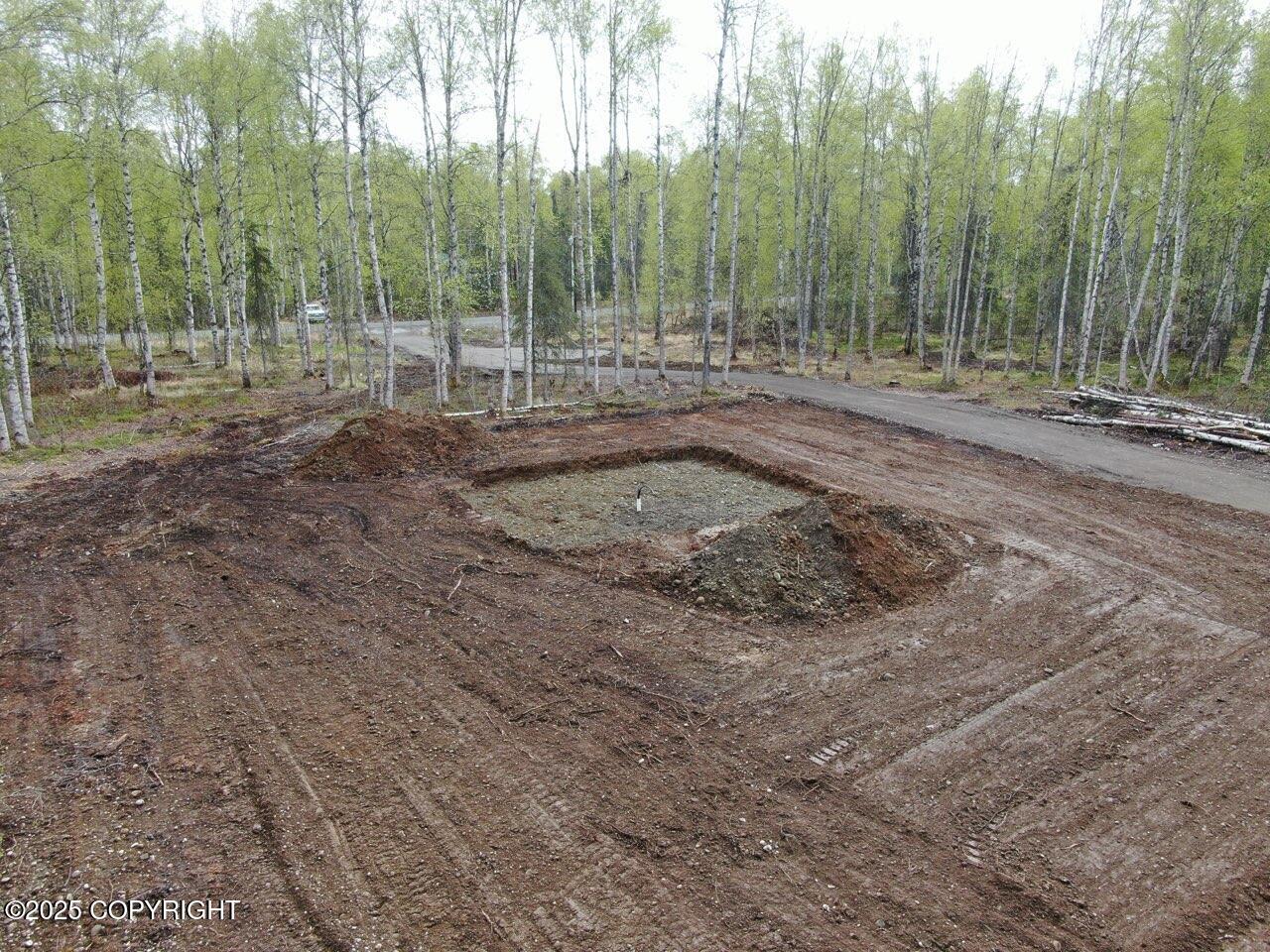 36534 S Long Branch Street, Talkeetna, Alaska image 11